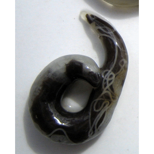Семейство Anguillicolidae  фото
