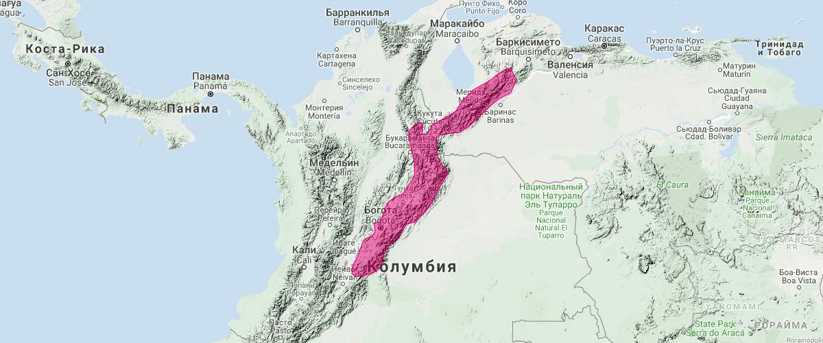 Luis Manuel's Tailless Bat (Anoura luismanueli) Ареал обитания на карте