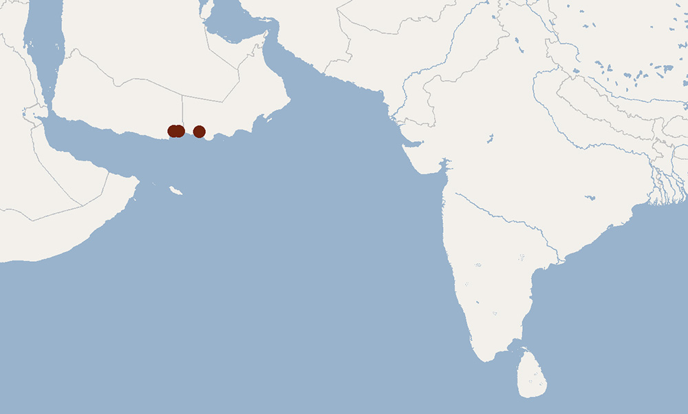 Arabian Trident Bat (Asellia arabica) Ареал обитания на карте