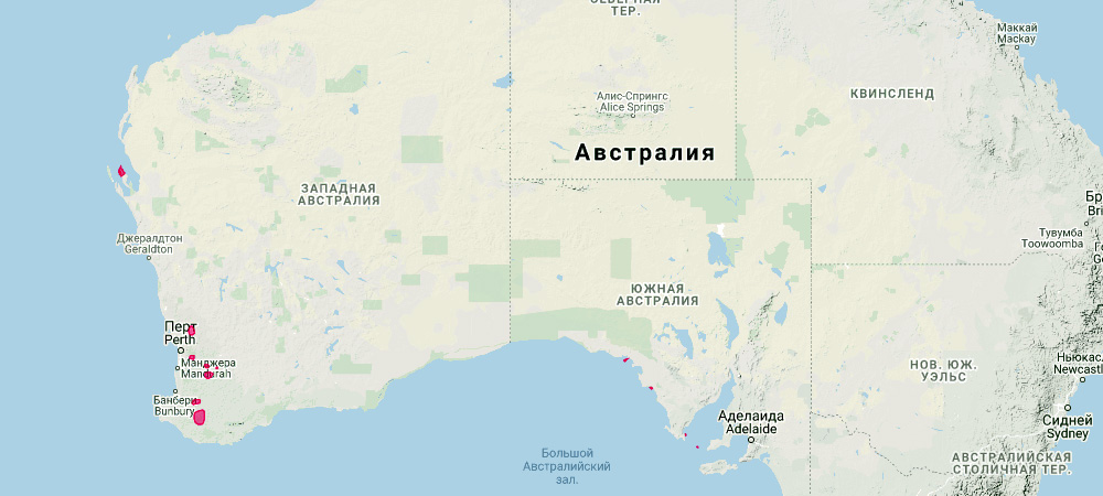 Гребнехвостый кенгуру (Bettongia penicillata) Ареал обитания на карте