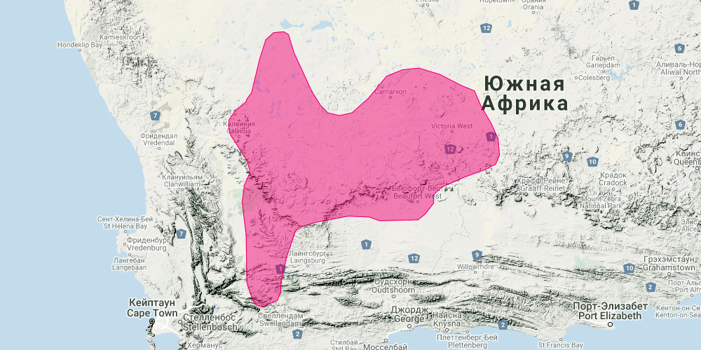 Бушменов заяц (Bunolagus monticularis) Ареал обитания на карте