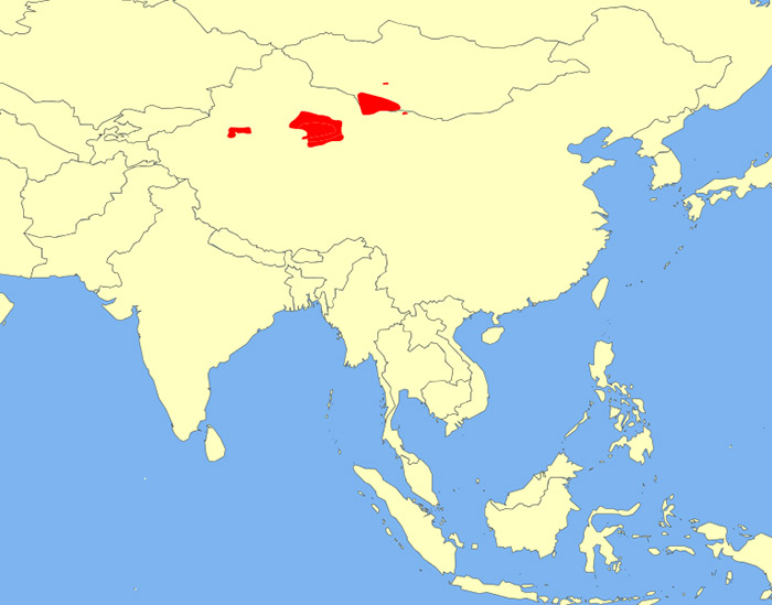Camelus bactrianus Ареал обитания на карте