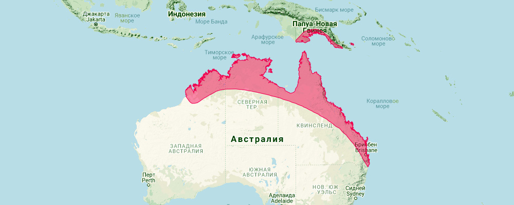 Чёрно-серый выростогуб (Chalinolobus nigrogriseus) Ареал обитания на карте