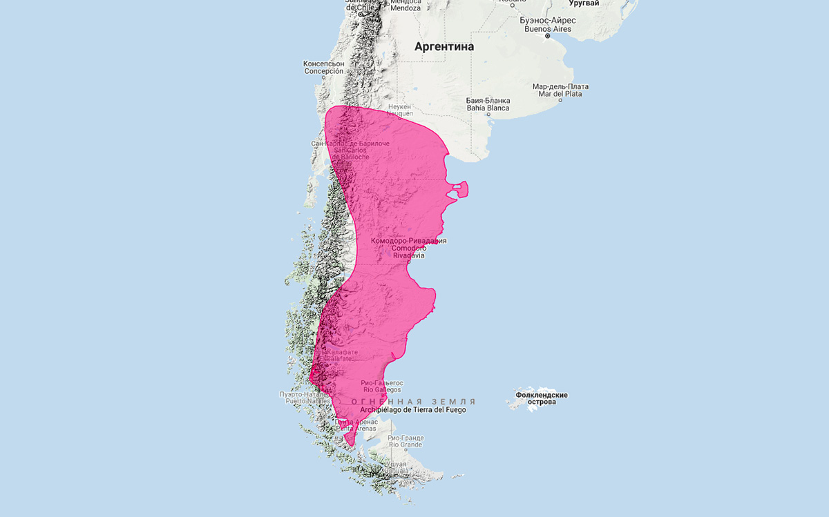 Скунс Гумбольдта (Conepatus humboldtii) Ареал обитания на карте