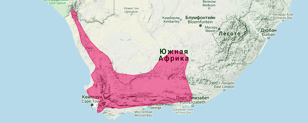 Прыгунчик Эдварда (Elephantulus edwardii) Ареал обитания на карте