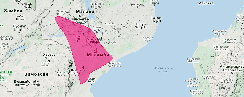 Замбезийский прыгунчик (Elephantulus fuscus) Ареал обитания на карте