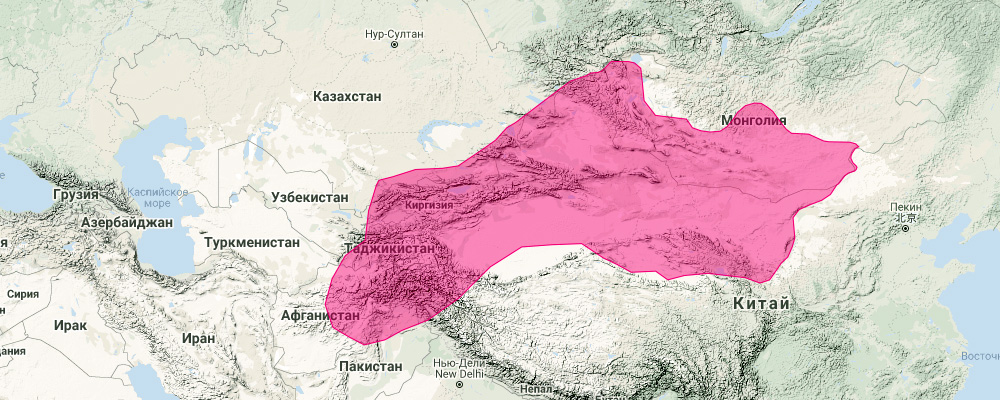 Гобийский кожанок (Eptesicus gobiensis) Ареал обитания на карте