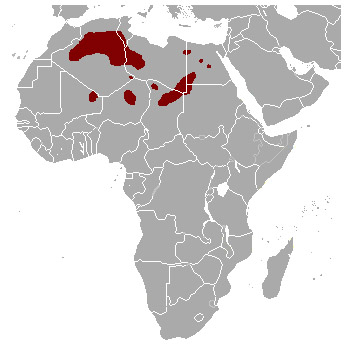 Gazella leptoceros Ареал обитания на карте