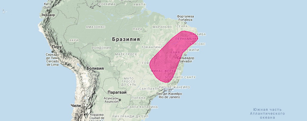 Опоссум Муйена (Gracilinanus agricolai) Ареал обитания на карте
