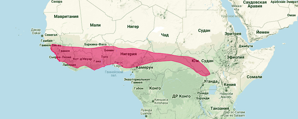 Абинский листонос (Hipposideros abae) Ареал обитания на карте