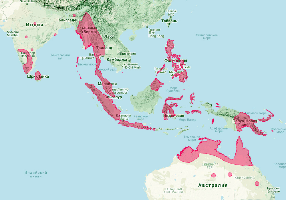 Сумеречный листонос (Hipposideros ater) Ареал обитания на карте