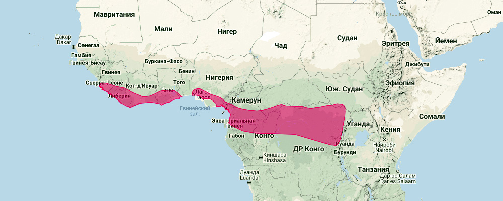 Карликовый листонос (Hipposideros beatus) Ареал обитания на карте