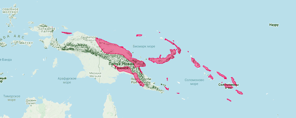 Шпороносный листонос (Hipposideros calcaratus) Ареал обитания на карте