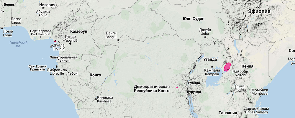 Камерунский листонос (Hipposideros camerunensis) Ареал обитания на карте