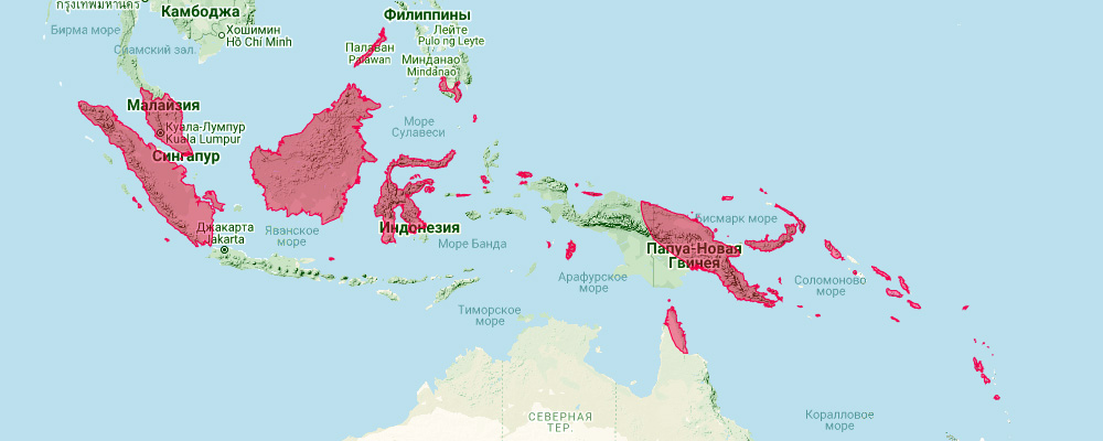 Коричневый листонос (Hipposideros cervinus) Ареал обитания на карте