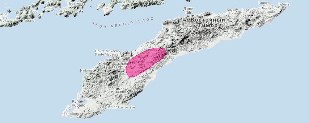 Тиморский листонос (Hipposideros crumeniferus) Ареал обитания на карте