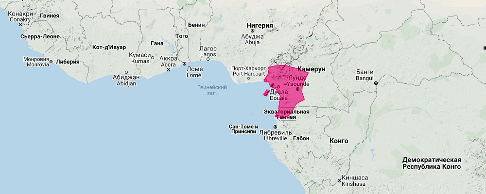 Короткохвостый подковогуб (Hipposideros curtus) Ареал обитания на карте