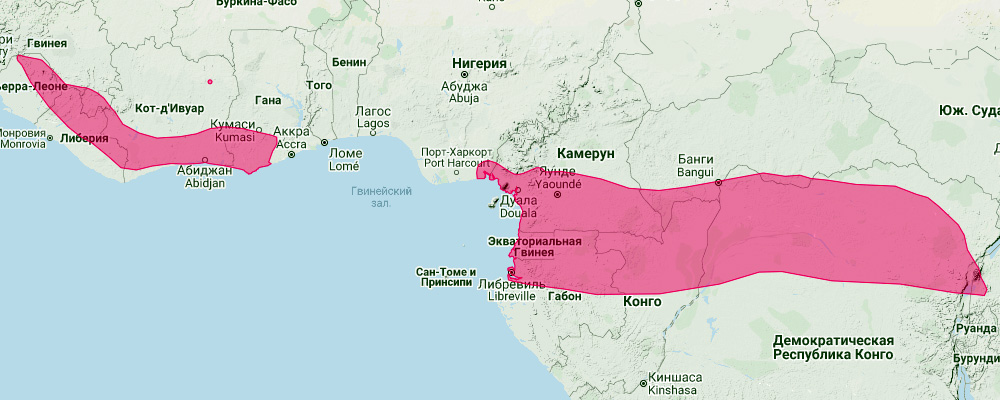 Тёмный подковогуб (Hipposideros fuliginosus) Ареал обитания на карте