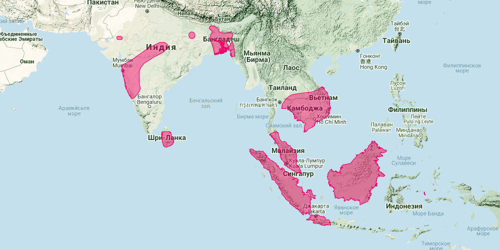 Хохлатый листонос (Hipposideros galeritus) Ареал обитания на карте