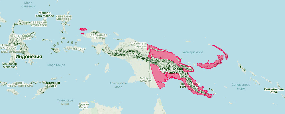 Листонос Мэгги (Hipposideros maggietaylorae) Ареал обитания на карте