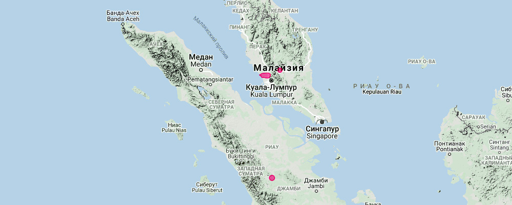 Orbiculus Leaf Nosed Bat (Hipposideros orbiculus) Ареал обитания на карте