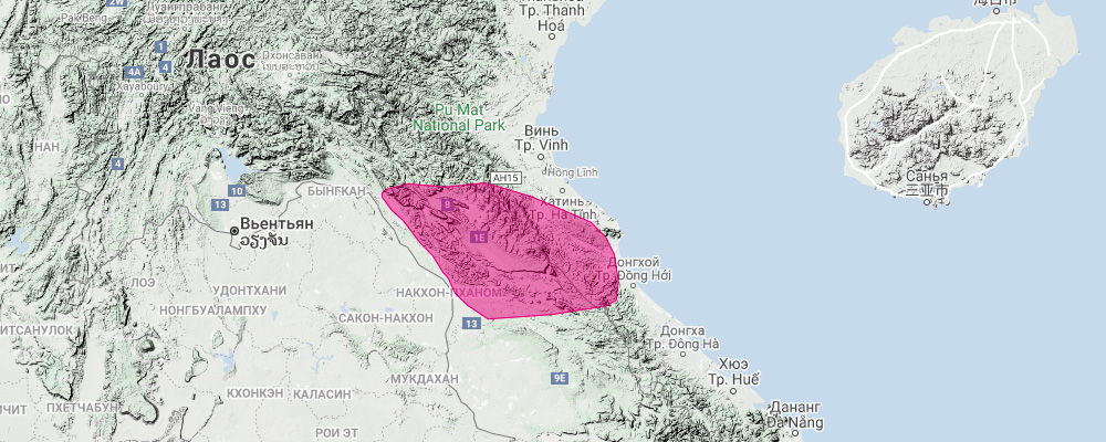 Shield Nosed Roundleaf Bat (Hipposideros scutinares) Ареал обитания на карте