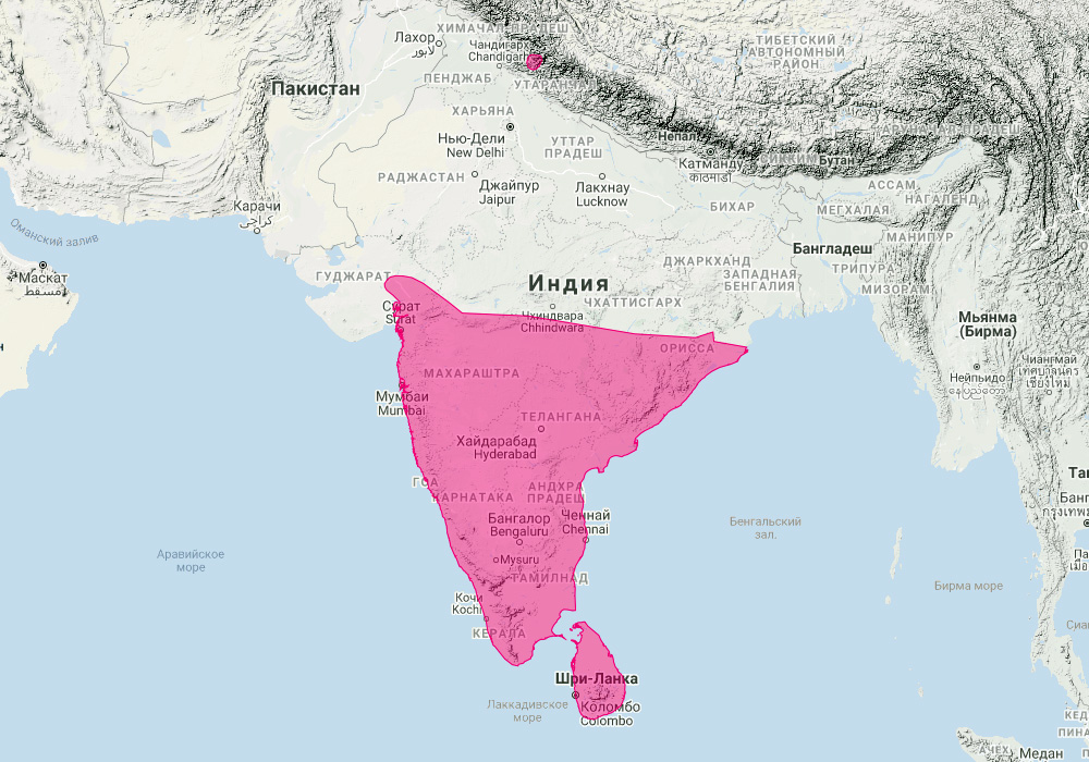 Индийский листонос (Hipposideros speoris) Ареал обитания на карте