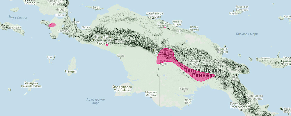 Листонос Уолластона (Hipposideros wollastoni) Ареал обитания на карте