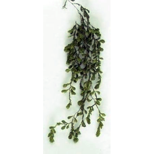 Семейство Hydropogonaceae фото