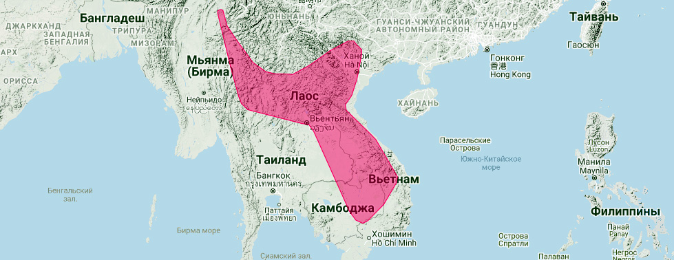 Titania's Woolly Bat (Kerivoula titania) Ареал обитания на карте
