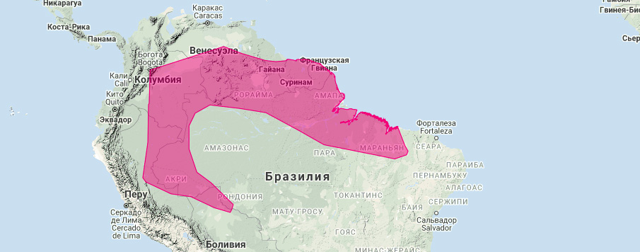 Листонос Каррикера (Lophostoma carrikeri) Ареал обитания на карте