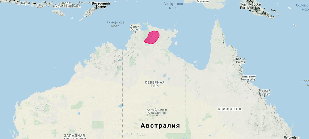 Кенгуру Бернарда (Macropus bernardus) Ареал обитания на карте