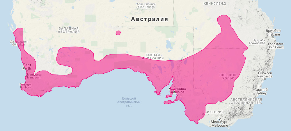 Западный серый кенгуру (Macropus fuliginosus) Ареал обитания на карте