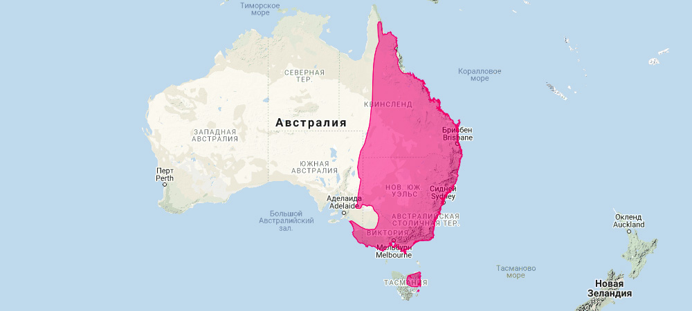 Гигантский кенгуру (Macropus giganteus) Ареал обитания на карте