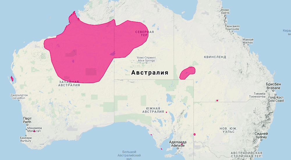 Кроличий бандикут (Macrotis lagotis) Ареал обитания на карте