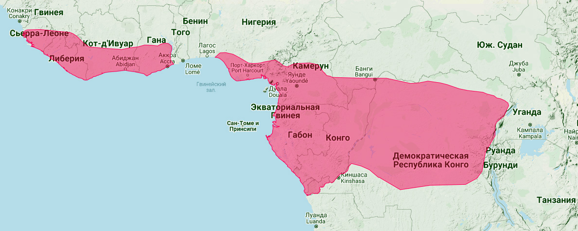 Длиннохвостый ящер (Manis tetradactyla) Ареал обитания на карте