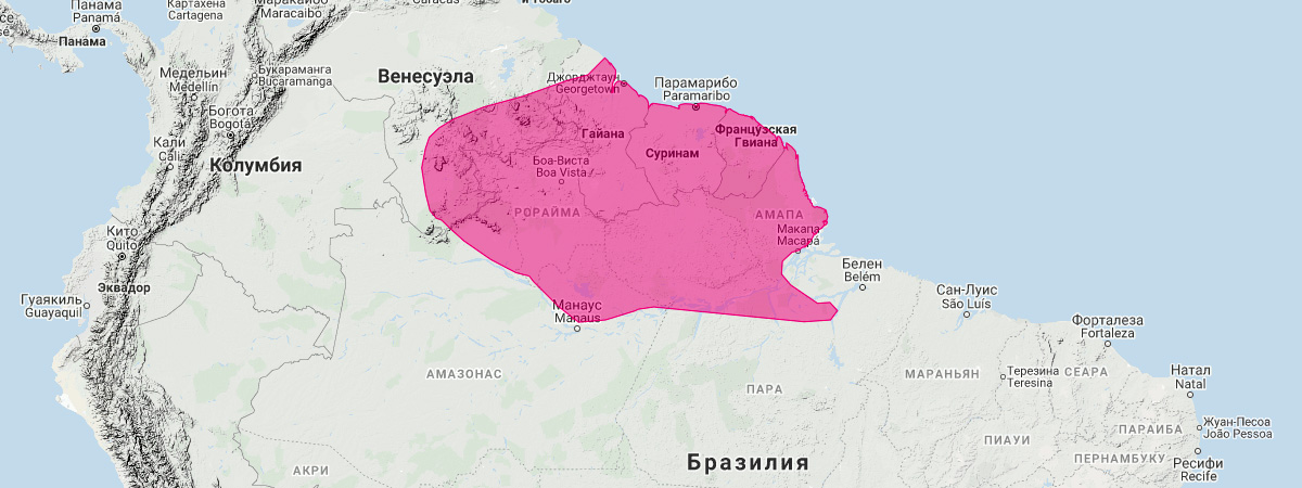 Мелкозубый стройный опоссум (Marmosops parvidens) Ареал обитания на карте