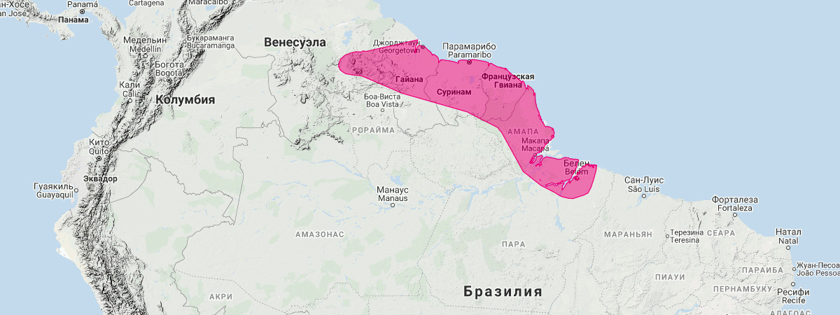 Тонкий опоссум Пинхейроса (Marmosops pinheiroi) Ареал обитания на карте