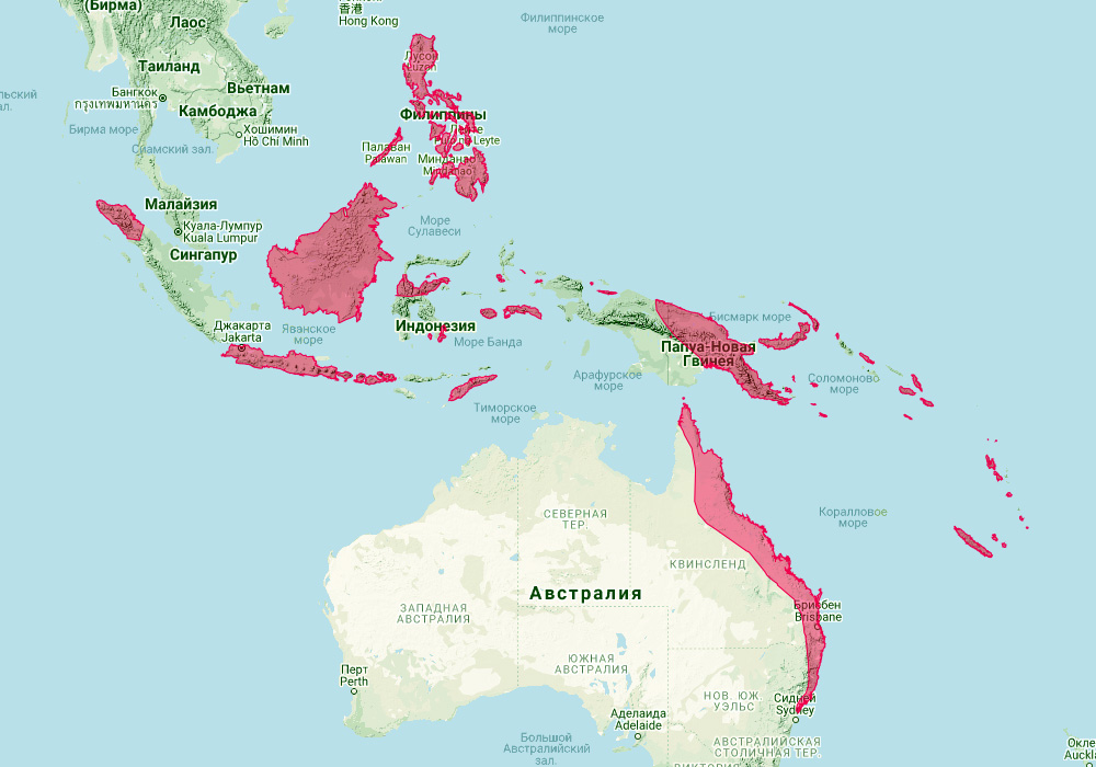 Восточный длиннокрыл (Miniopterus australis) Ареал обитания на карте