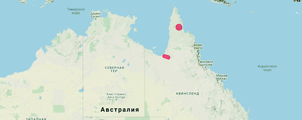 Cape York Free-Tailed Bat (Mormopterus halli) Ареал обитания на карте