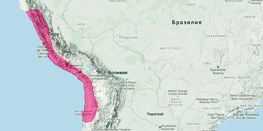 Складчатогуб Калиновского (Mormopterus kalinowskii) Ареал обитания на карте