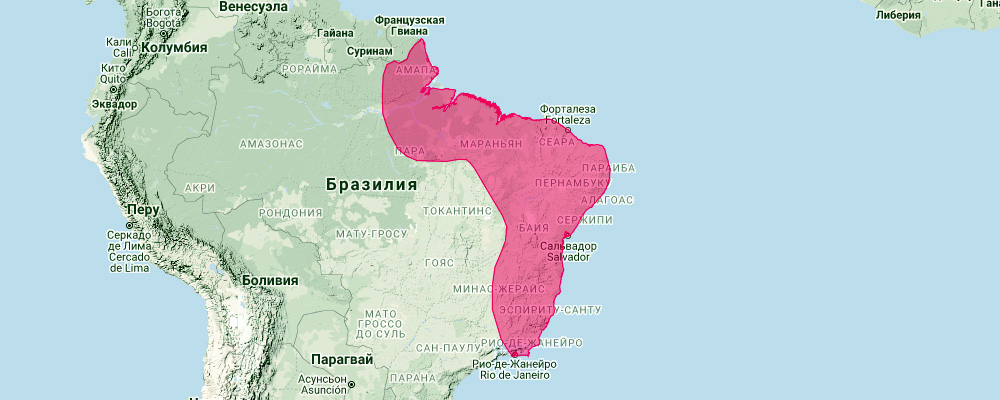 Natalus macrourus (Natalus macrourus) Ареал обитания на карте