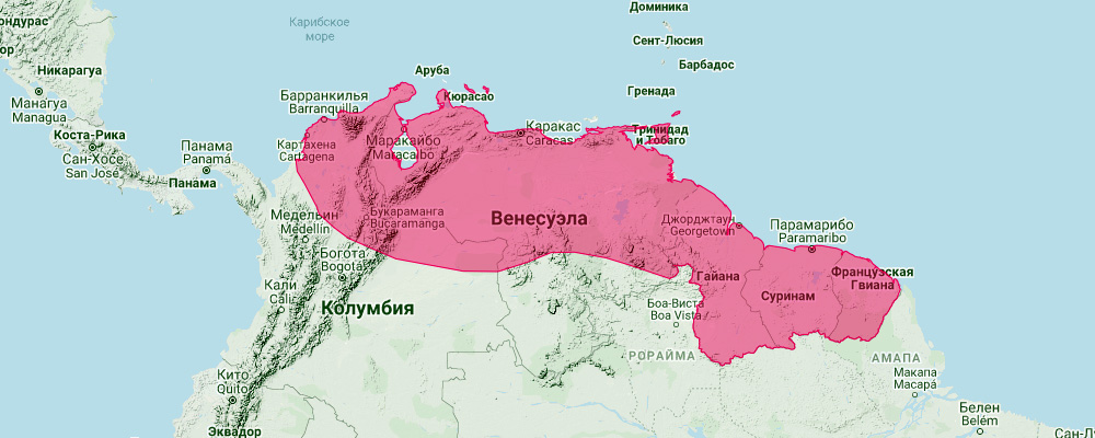 Венесуэльский воронкоух (Natalus tumidirostris) Ареал обитания на карте