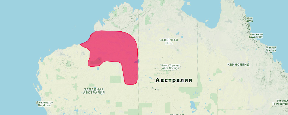 Северный сумчатый крот (Notoryctes caurinus) Ареал обитания на карте