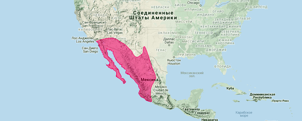 Мешотчатый складчатогуб (Nyctinomops femorosaccus) Ареал обитания на карте