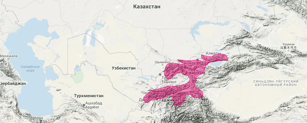 Красная пищуха (Ochotona rutila) Ареал обитания на карте