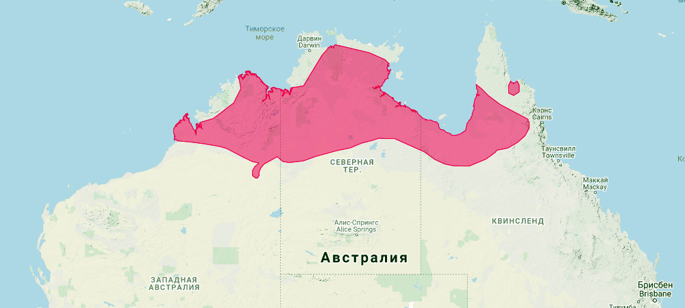 Плоскокоготный кенгуру (Onychogalea unguifera) Ареал обитания на карте