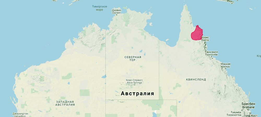 Валлаби Годмана (Petrogale godmani) Ареал обитания на карте