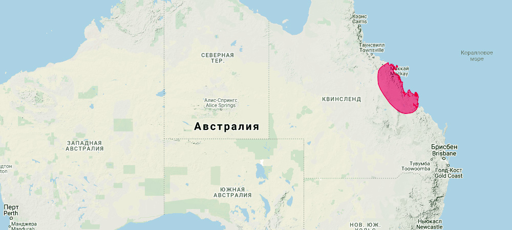 Очковый скальный валлаби (Petrogale inornata) Ареал обитания на карте