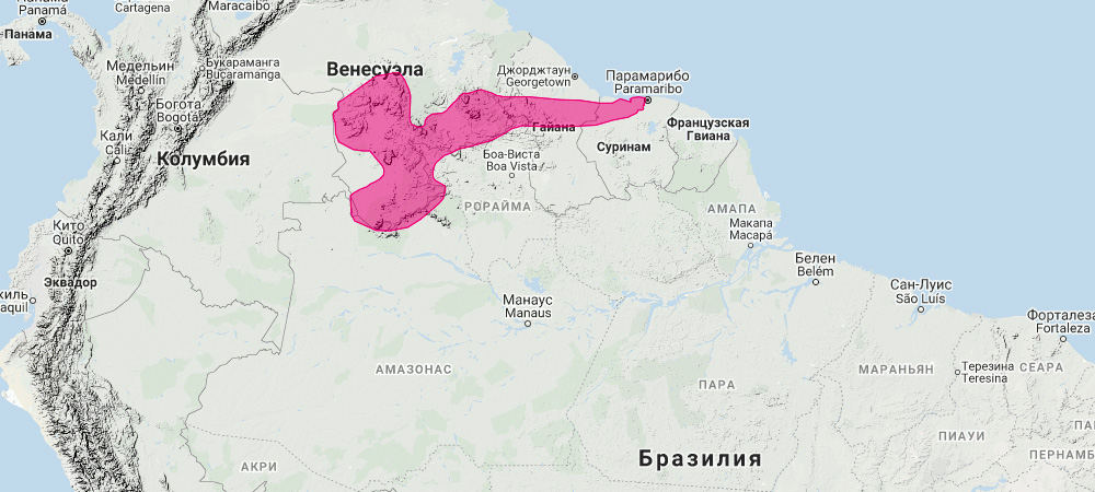 Широконос Эльдорадо (Platyrrhinus aurarius) Ареал обитания на карте